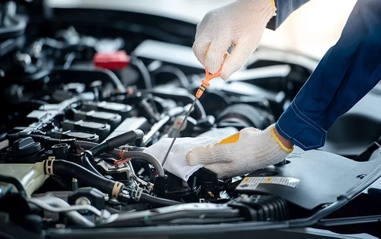 4. Check And Top Up Fluid Levels