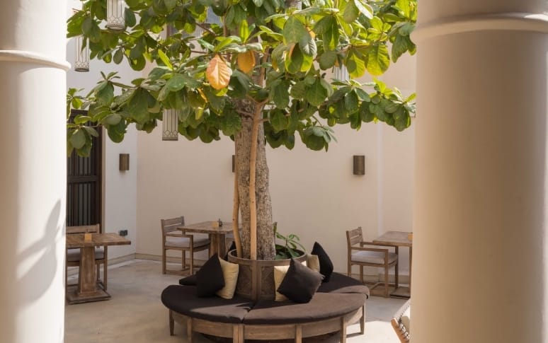 7. Outdoor Courtyard Area