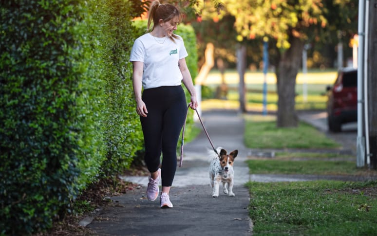 3. General Guidelines For Dog Walks