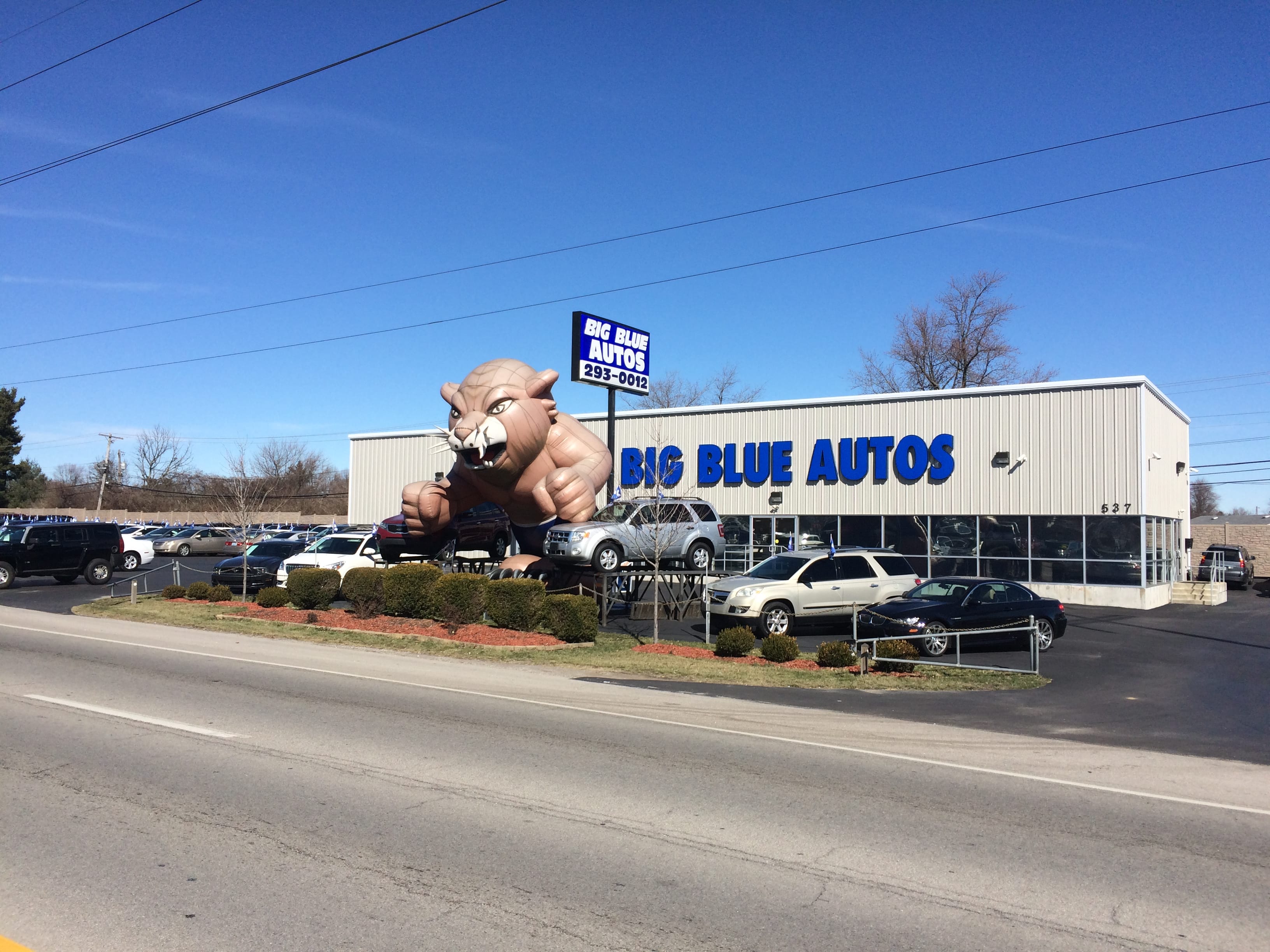 Big Blue Autos