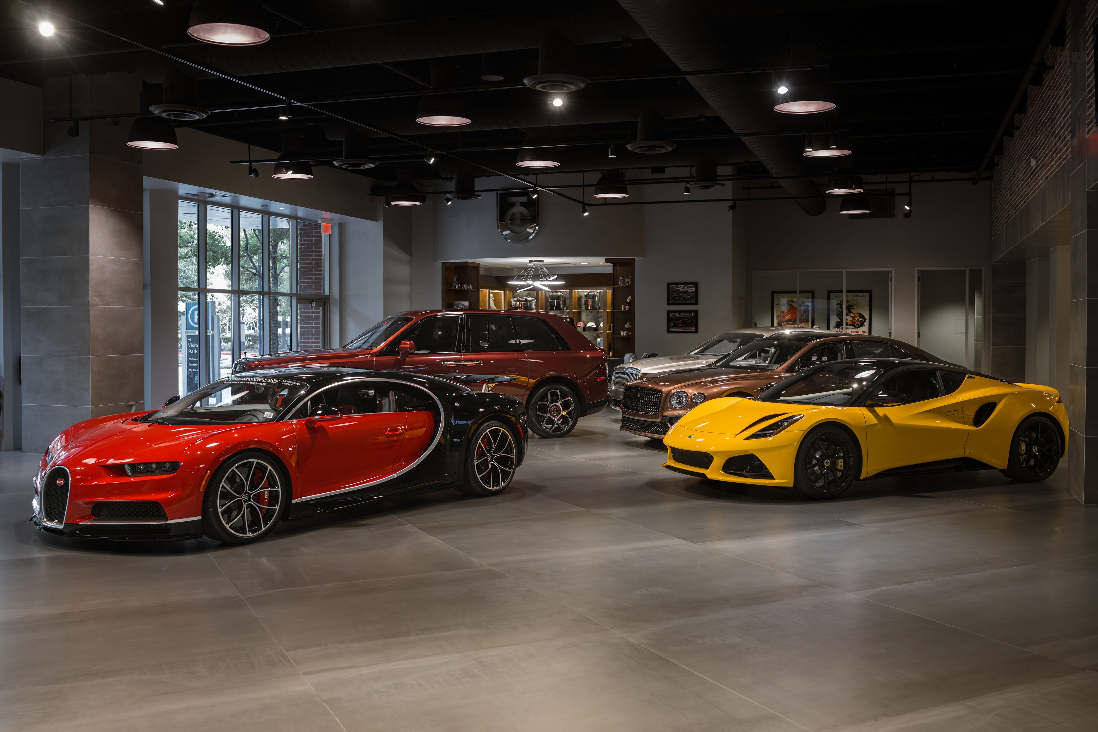 Lotus Of The Woodlands