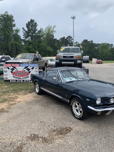 Auto Woodlands Inc