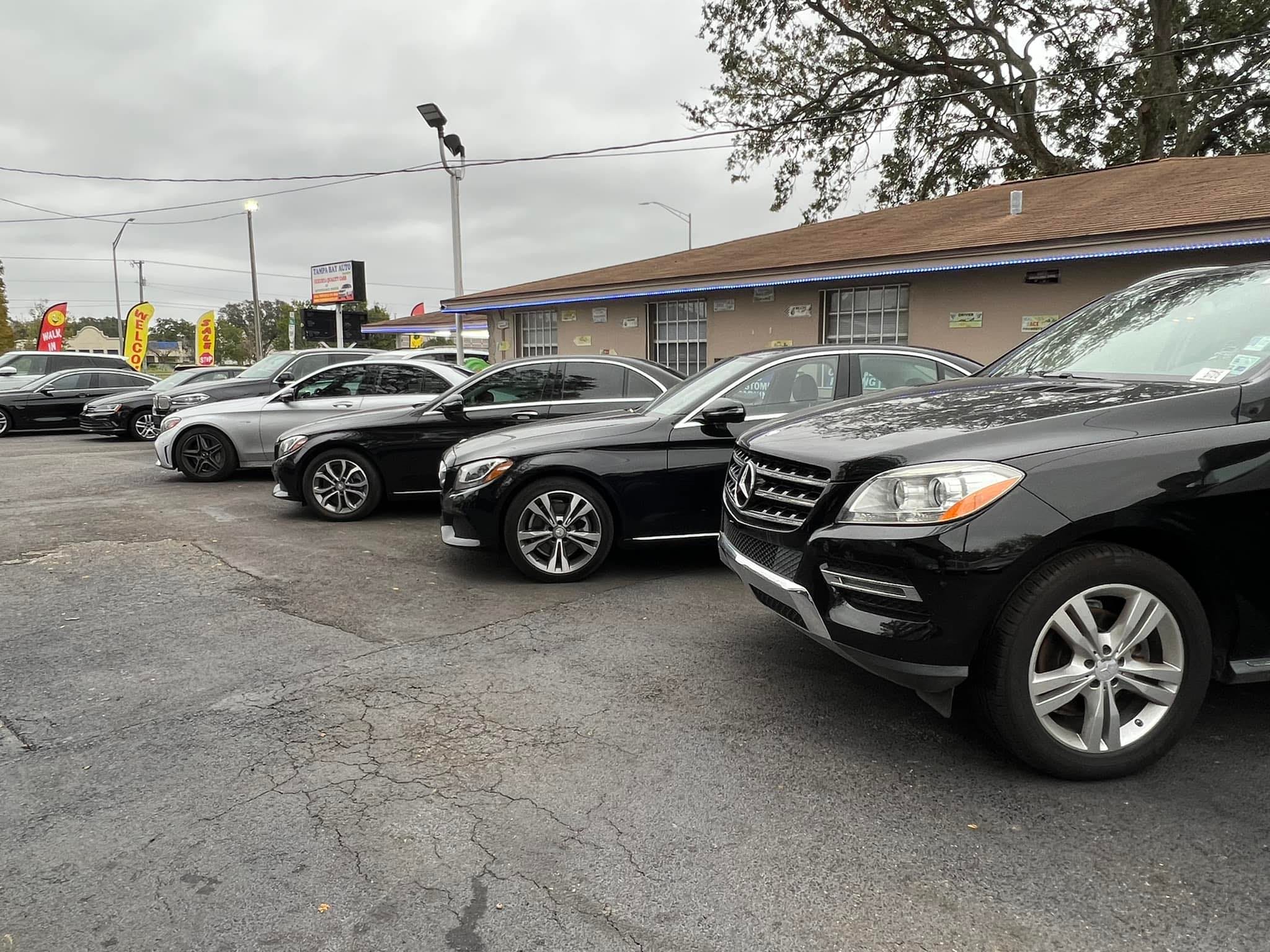 Tampa Bay Auto Experts Inc