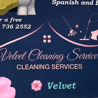 Velvet cleaning service