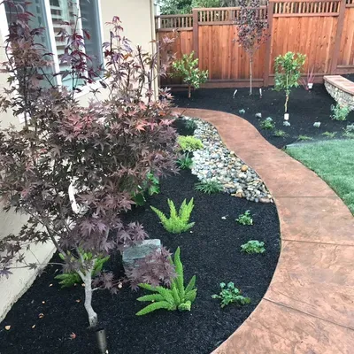 Vision 20/20 Landscaping