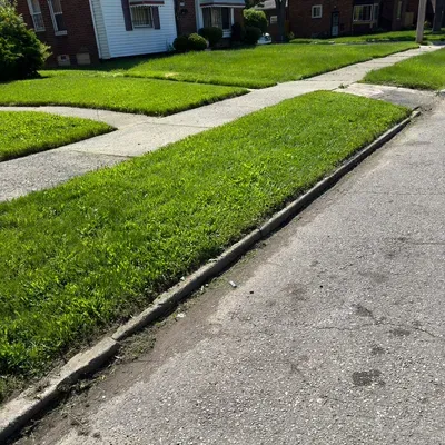 T&D Lawn Care inc.