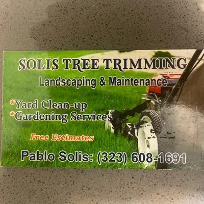 Solis gardening and tree service