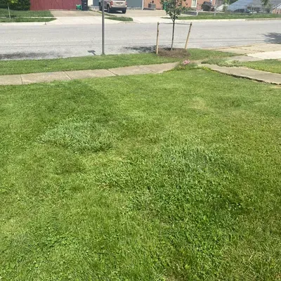 B Green Lawn Services