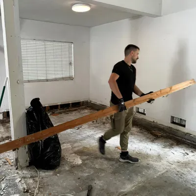 HandyBrother in painting