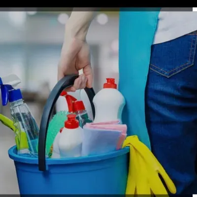 Braz cleaning services