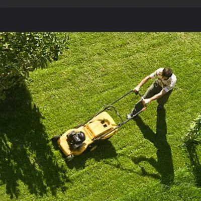 The Carters lawn mowing &home cleaning