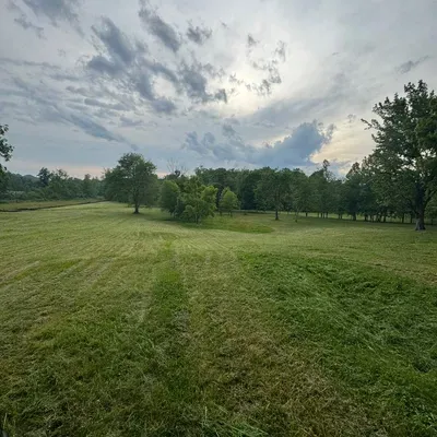 Bushmasters Land and Property Management LLC