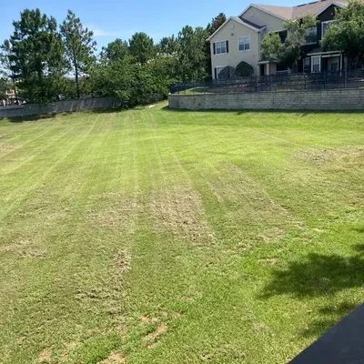 Greener Than Yours landscaping