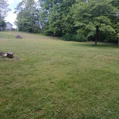 Vaughn lawn and handy services