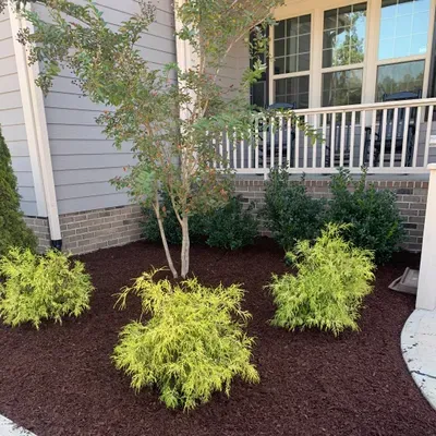 First Impressions Lawn Services LLC