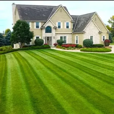 No Mow Worries Lawn Care