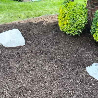 Mikes lawn care