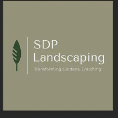 SDP landscape