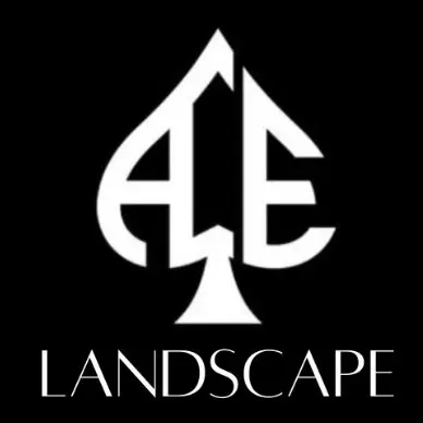 Ace Landscape