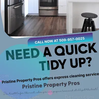 Pristine Property Pros