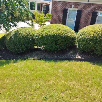 SJ Lawncare