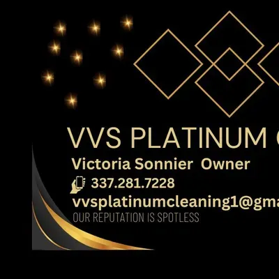 VVS PLATINUM CLEANING SERVICE