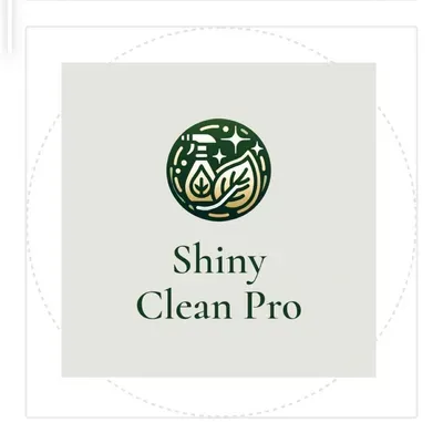 Shiny Clean Pro