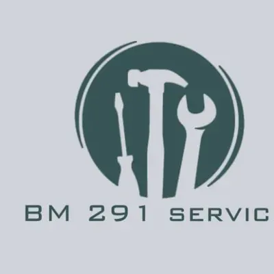 Bm291services
