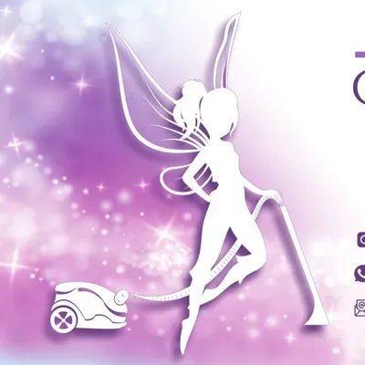 The Cleaning Fairy