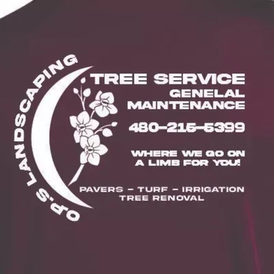 Pantoja landscape services llc