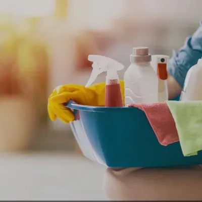 Wanis cleaning