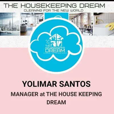 the cleaning pros