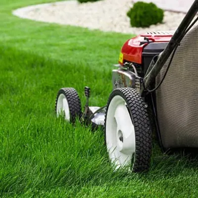Lovely lawn care