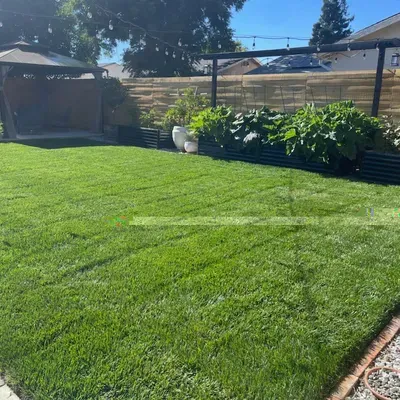 Luis Gonzalez Landscaping