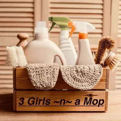 3 Girls ~n~a Mop