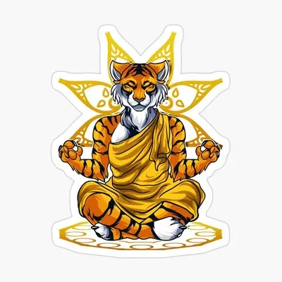 zen cleaning services