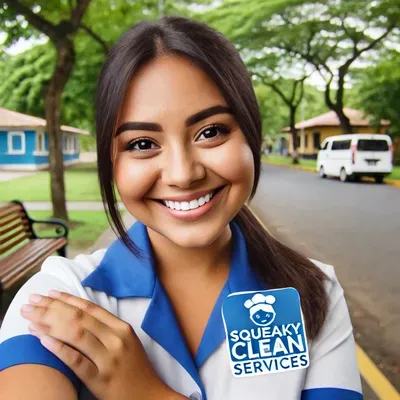 Squeaky Clean services