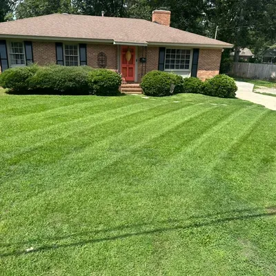 Eco Oasis Lawn Care