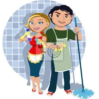 Pure Shine Solutions