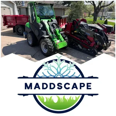 MaddScape MN