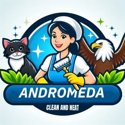 Andromeda Cleaner LLC