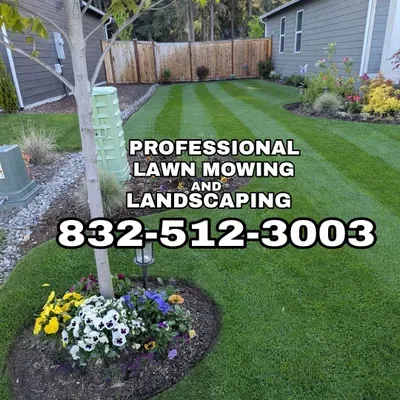 Professional Lawn Mowing