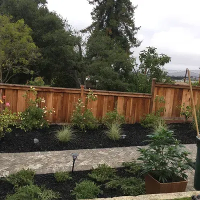 jose Mendoza Landscaping