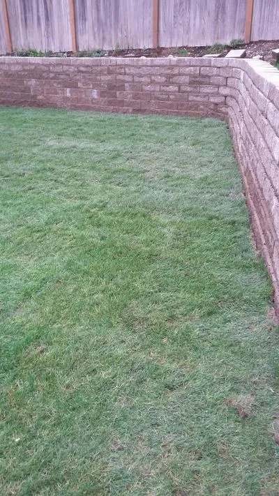 Vision Landscapes & Paint