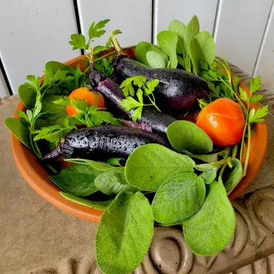 Basileia Home & Garden / Transformational Tutoring