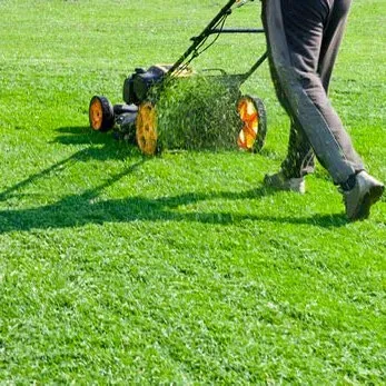 Edge Life Trimmers