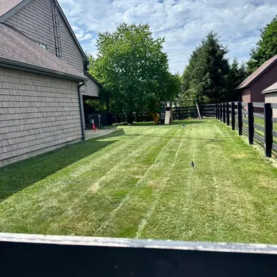 Dam lawn care