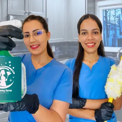 Cleaning Fairies