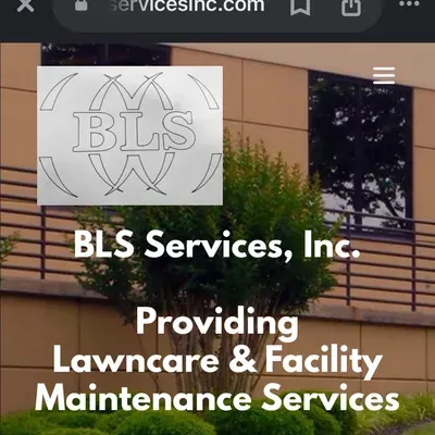 BLS Services Inc