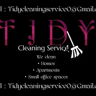 Tidy Cleaning Service